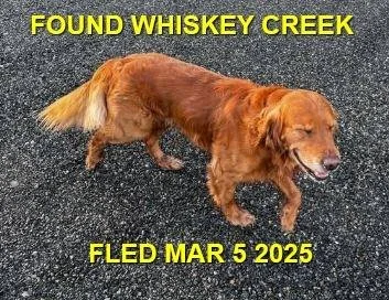 WENT HOME ON THEIR OWN - WHISKEY CREEK BC. / MARCH 5, 2025