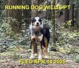 WENT HOME ON THEIR OWN - SAANICH BC. / APRIL 14 2025