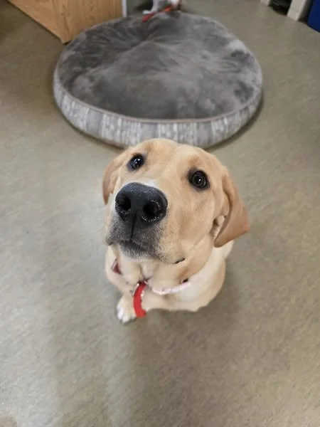 GONE TO SHELTER - GONE HOME -NANAIMO BC. / BERNIE  / MARCH 1, 2025