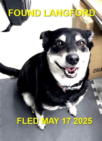 GONE TO SHELTER - GONE HOME -LANGFORD BC. / MAY 17, 2025