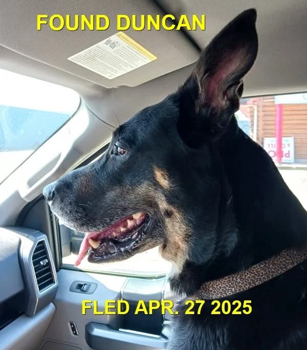 GONE TO SHELTER - GONE HOME -DUNCAN BC. / KARMA / APRIL 27, 2025