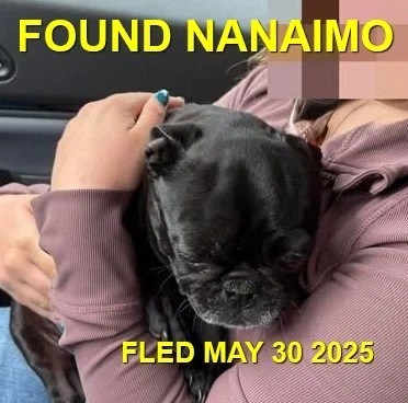 GONE TO SHELTER - GONE HOME - NANAIMO BC. / MAY 30, 2025