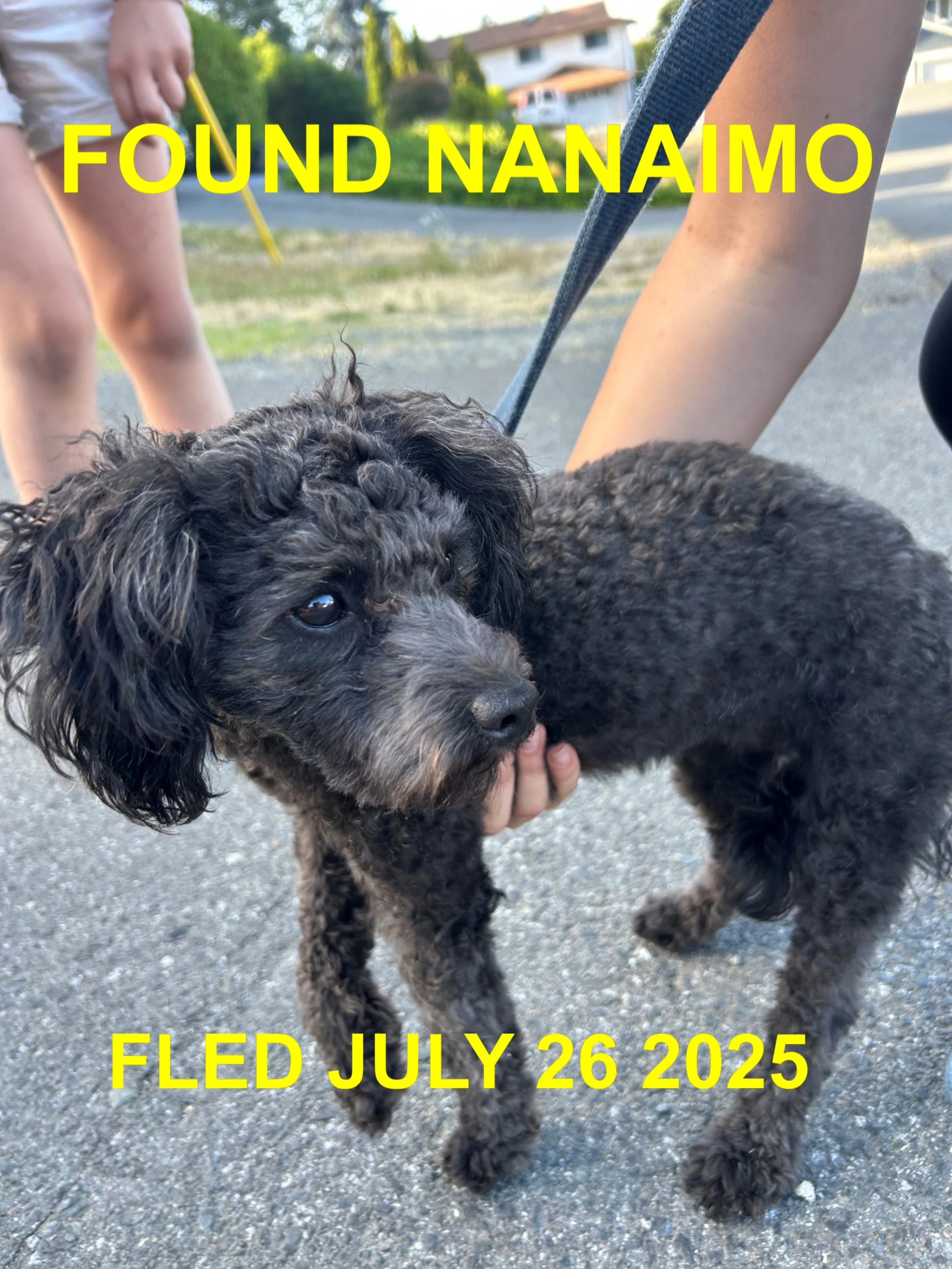 HAPPY ENDINGS - NANAIMO BC. /JULY 26, 2025