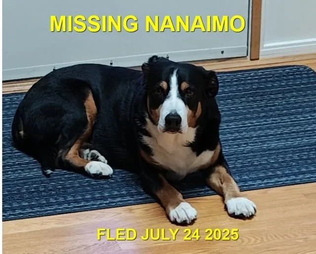 HAPPY ENDINGS - NANAIMO BC. / WYATT / JULY 24, 2025