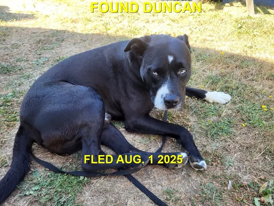 HAPPY ENDINGS - DUNCAN BC. / AUGUST 1, 2025