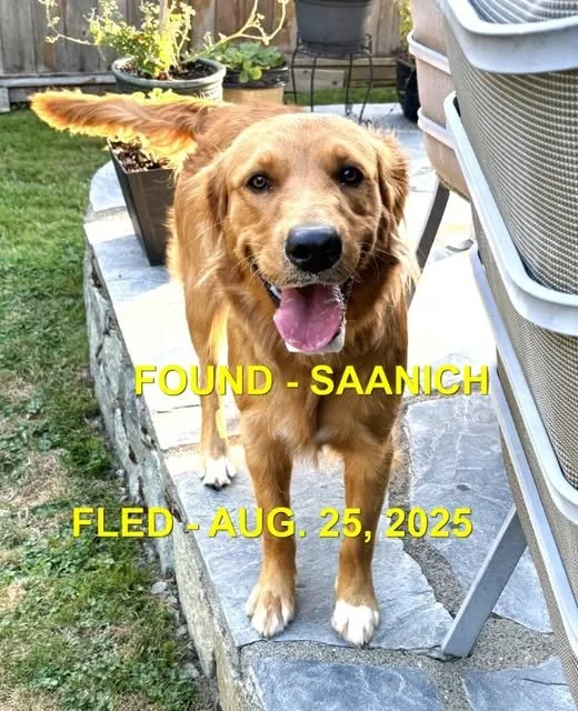 HAPPY ENDINGS - SAANICH BC. / AUG 25, 2025