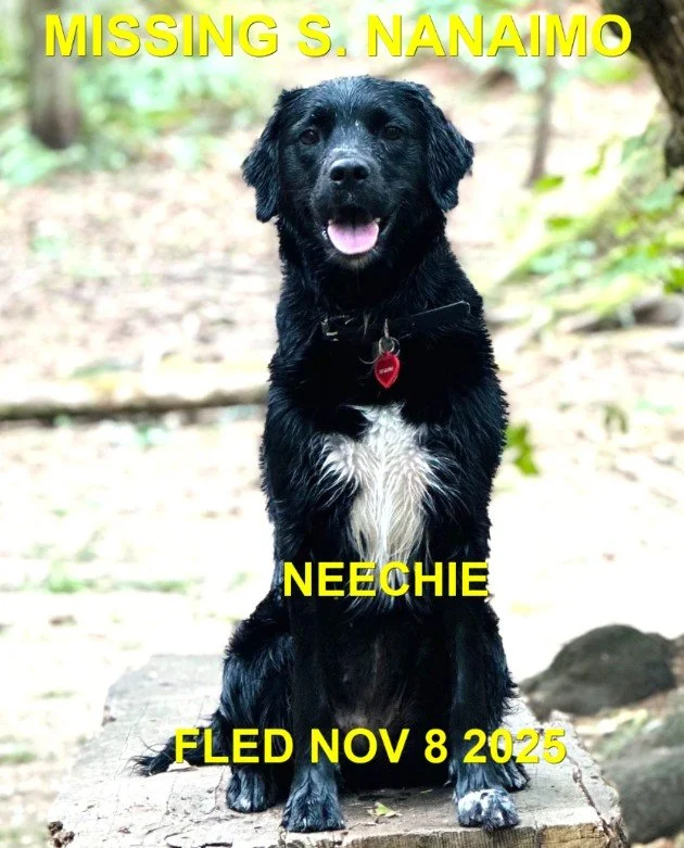 HAPPY ENDINGS - NANAIMO BC. / NEECHIE / NOV. 8, 2025