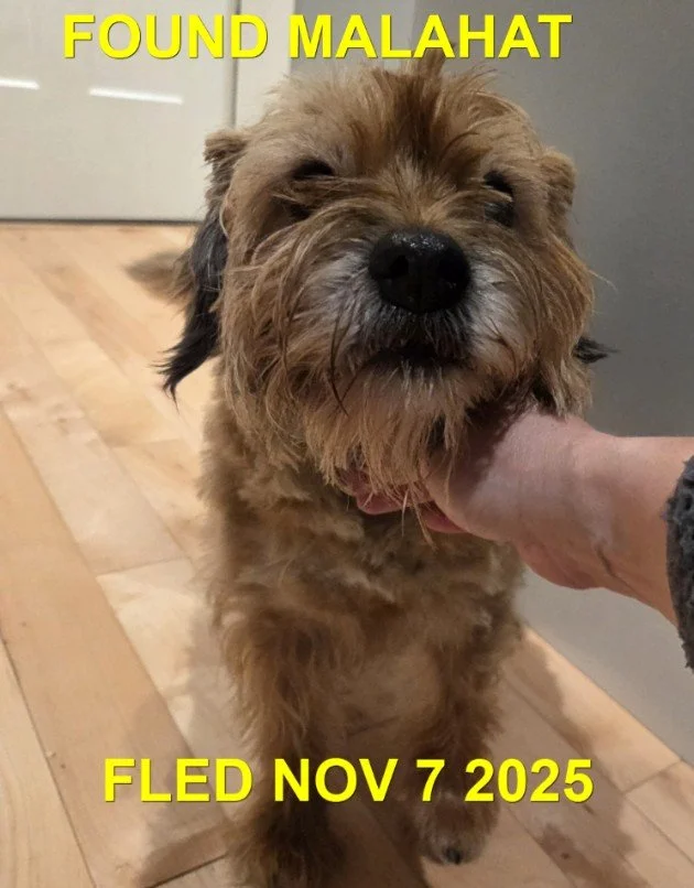 HAPPY ENDINGS - MALAHAT/MILLBAY BC. / NOV. 7, 2025