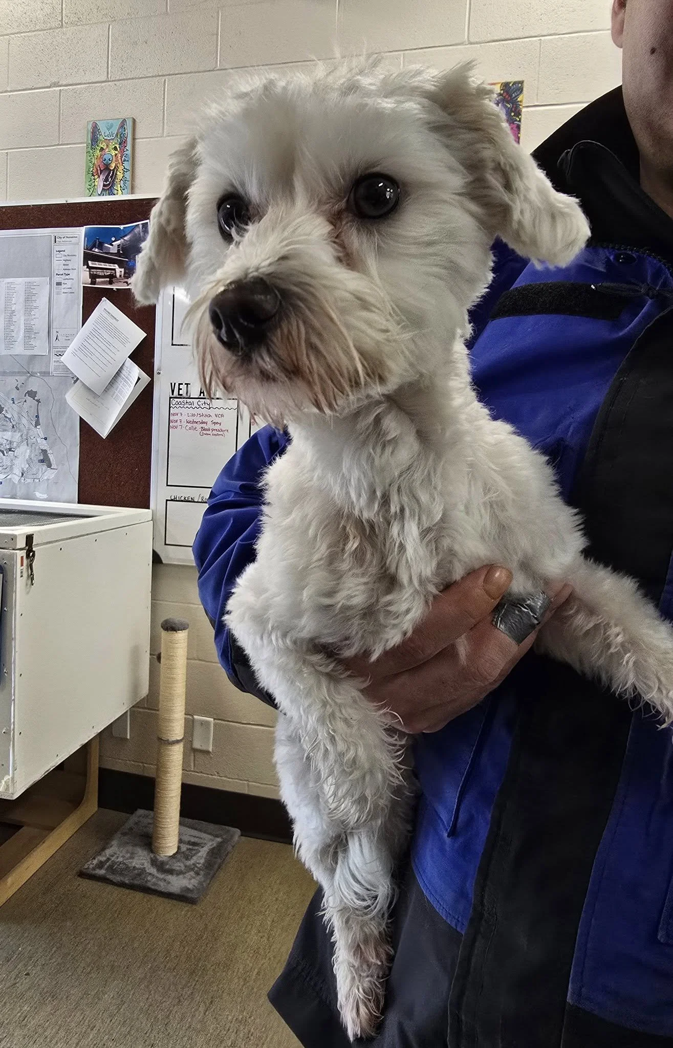 GONE TO SHELTER / HAPPY ENDING - NANAIMO BC. / NOV. 7, 2025