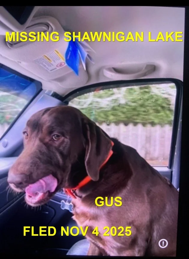HAPPY ENDINGS - SHAWNIGAN LAKE BC. / GUS / NOV. 4, 2025