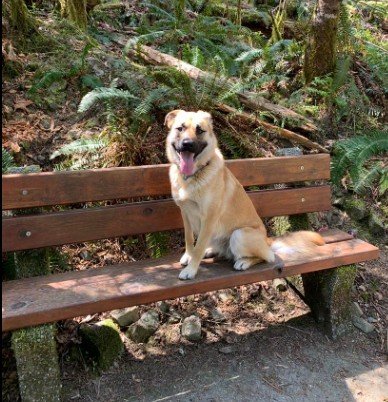 HAPPY ENDINGS- DUNCAN BC. / HARLEY / NOV. 2, 2025