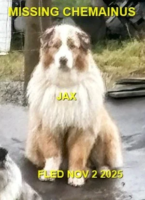 HAPPY ENDINGS - CHEMAINUS BC. / JAX / NOV. 2, 2025