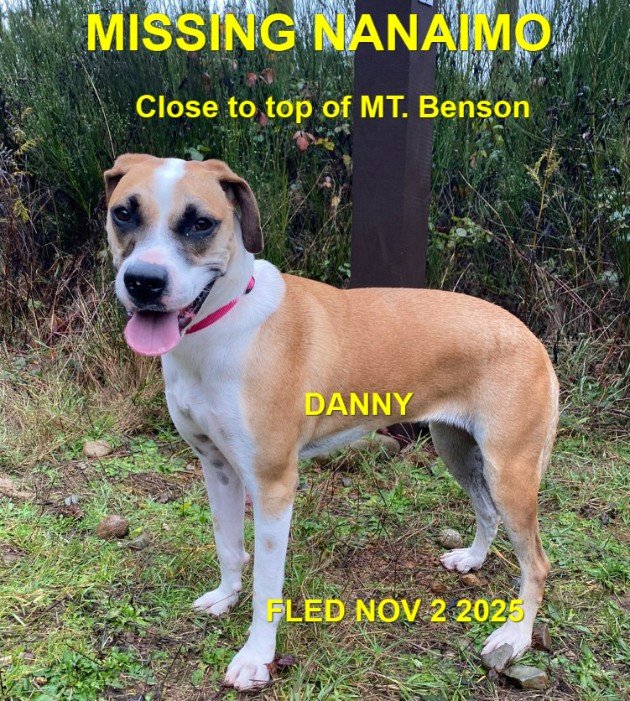 HAPPY ENDINGS - NANAIMO BC. / DANNY / NOV. 2, 2025