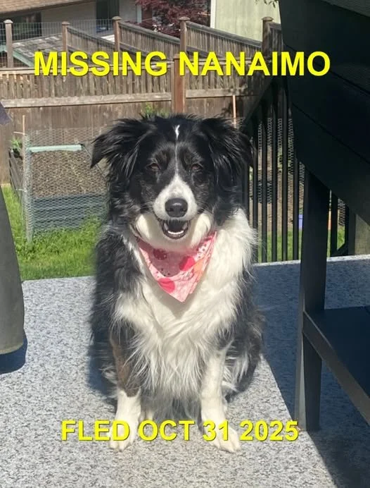HAPPY ENDINGS - NANAIMO BC. / LEXI / OCT. 31, 2025