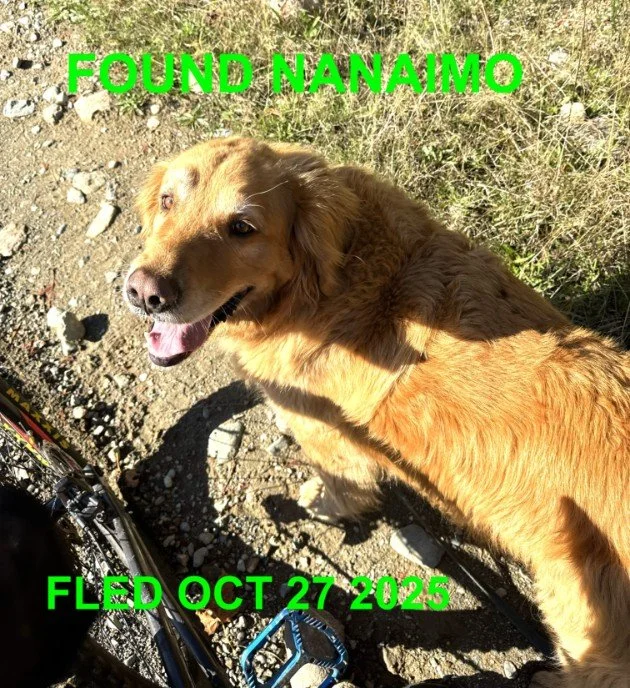 HAPPY ENDINGS - NANAIMO BC. / OCT 27, 2025