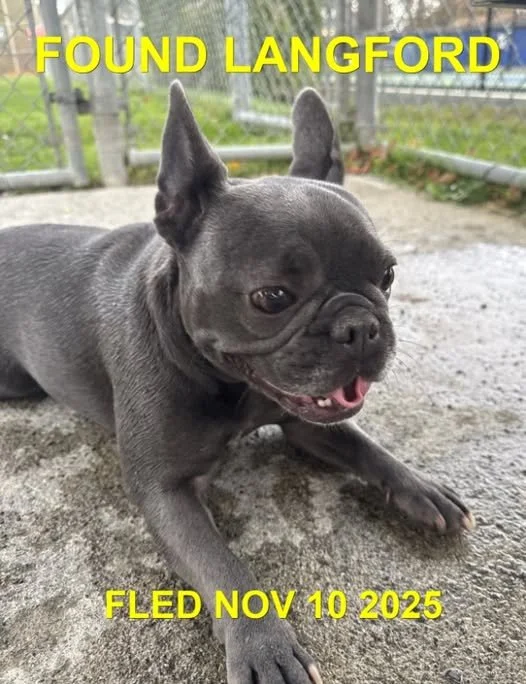 HAPPY ENDINGS - LANGFORD BC. / ZOEY / NOV. 10, 2025