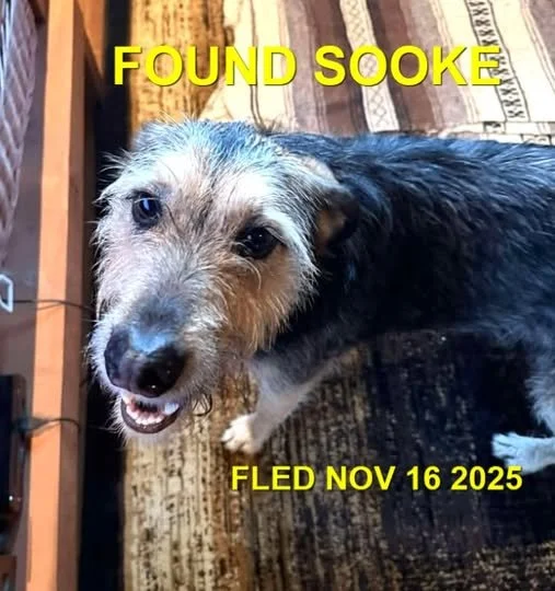 HAPPY ENDING - SOOKE BC. / NOV. 16, 2025