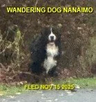 HAPPY ENDING - NANAIMO BC. / NOV. 15, 2025