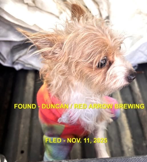 HAPPY ENDING - DUNCAN BC. / NOV. 11, 2025