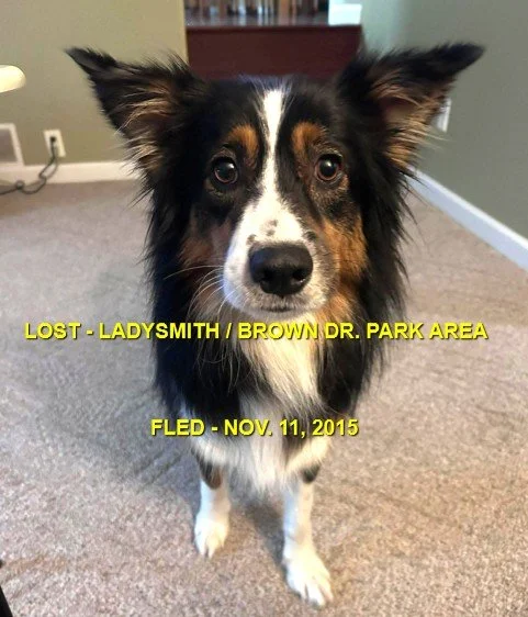 HAPPY ENDING - LADYSMITH BC. / TALA / NOV. 11, 2025