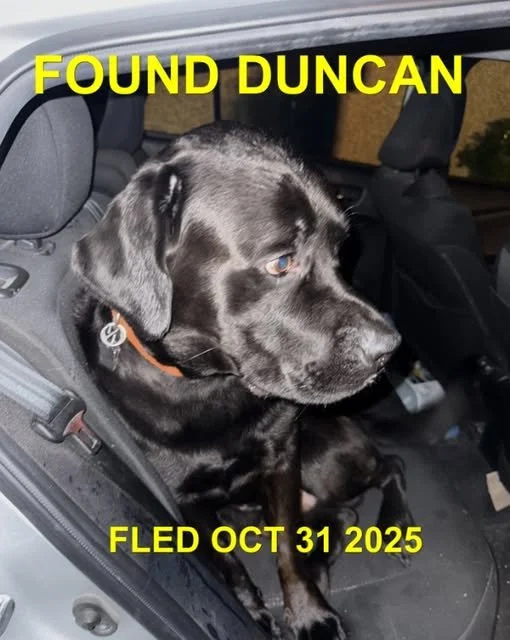 GONE TO SHELTER / GONE HOME - NORTH COWICHAN BC. / OCT. 31, 2025