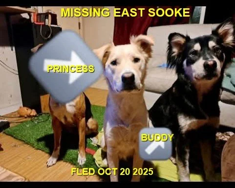 HAPPY ENDINGS - E. SOOKE BC. / PRINCESS &amp; BUDDY / OCT. 20, 2025