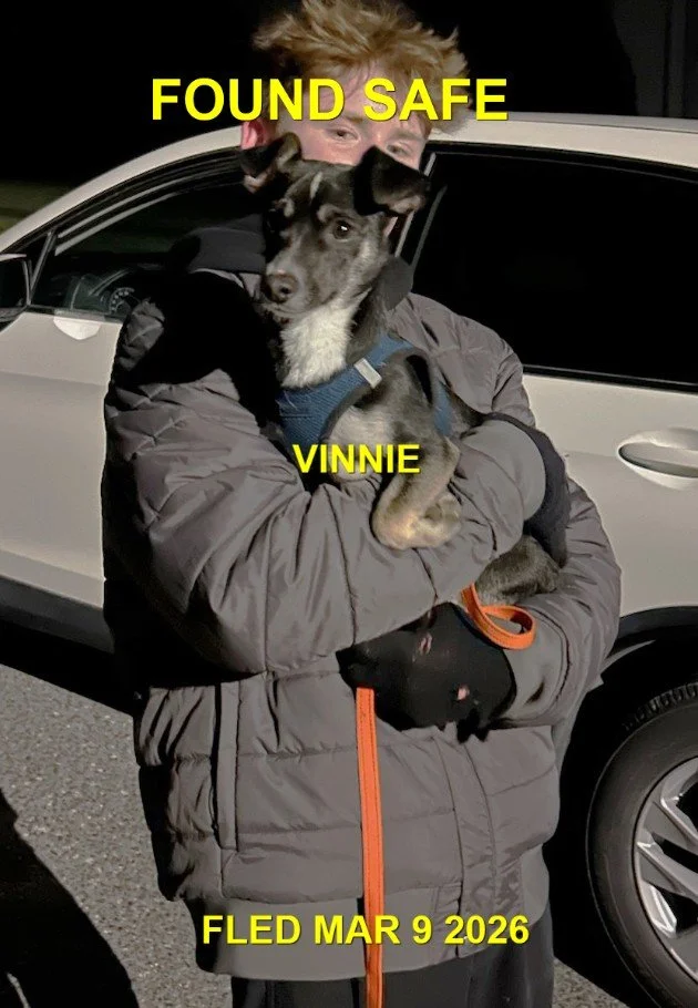 HAPPY ENDINGS - LADYSMITH BC. / VINNIE / MARCH 9, 2026