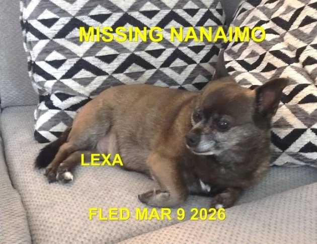 HAPPY ENDINGS - NANAIMO BC / SENIOR LEXA / MARCH 9, 2026