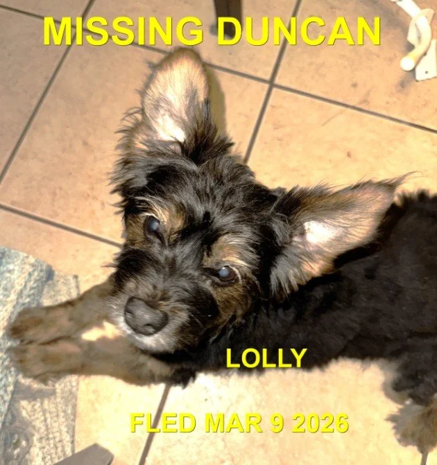 HAPPY ENDINGS -DUNCAN BC. / LOLLY / MARCH 9, 2026