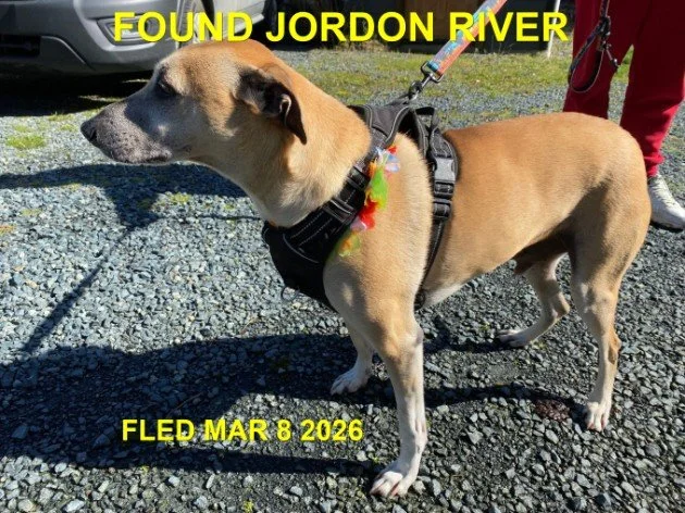 HAPPY ENDINGS - JORDON RIVER / MARCH 8, 2026