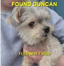 HAPPY ENDINGS - DUNCAN BC. / MARCH 7, 2026