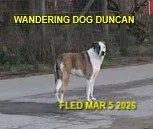 HAPPY ENDINGS - DUNCAN BC. / MARCH 5, 2026