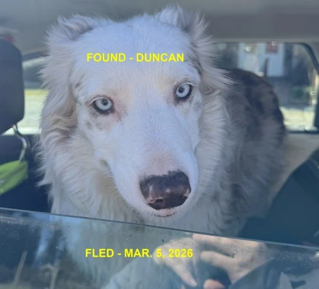 HAPPY ENDINGS - DUNCAN BC. / MARCH 5, 2026