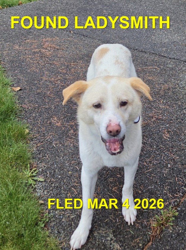 HAPPY ENDINGS - LADYSMITH BC. / MARCH 4, 2026