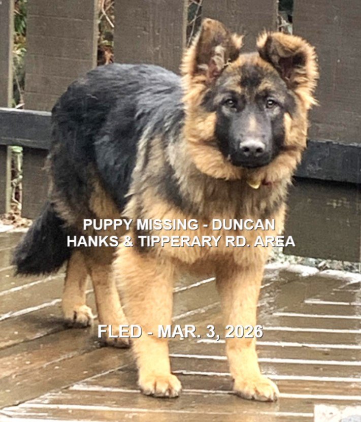 HAPPY ENDINGS - DUNCAN BC. / DEXTER / MARCH 3, 2026