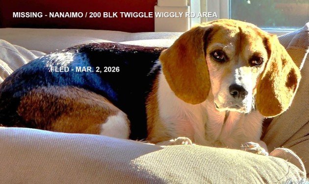 HAPPY ENDINGS - NANAIMO BC. / ZENA / MARCH 2, 2026