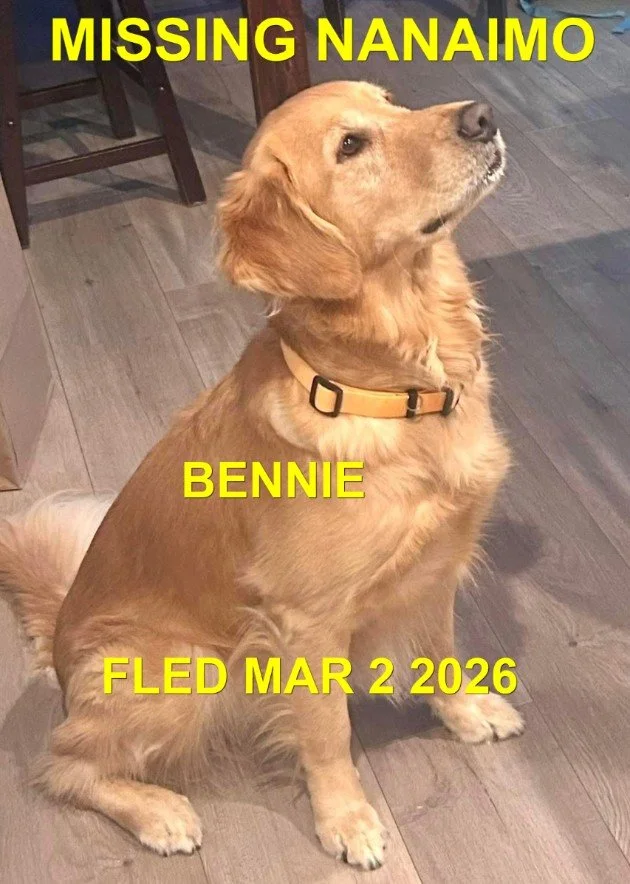 HAPPY ENDINGS - NANAIMO BC. / BENNIE / MARCH 2, 2026