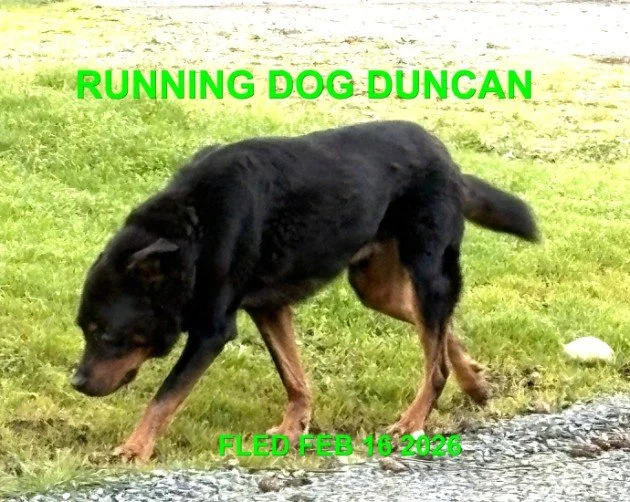 UNRESOLVED - DUNCAN BC. / FEB. 16, 2026