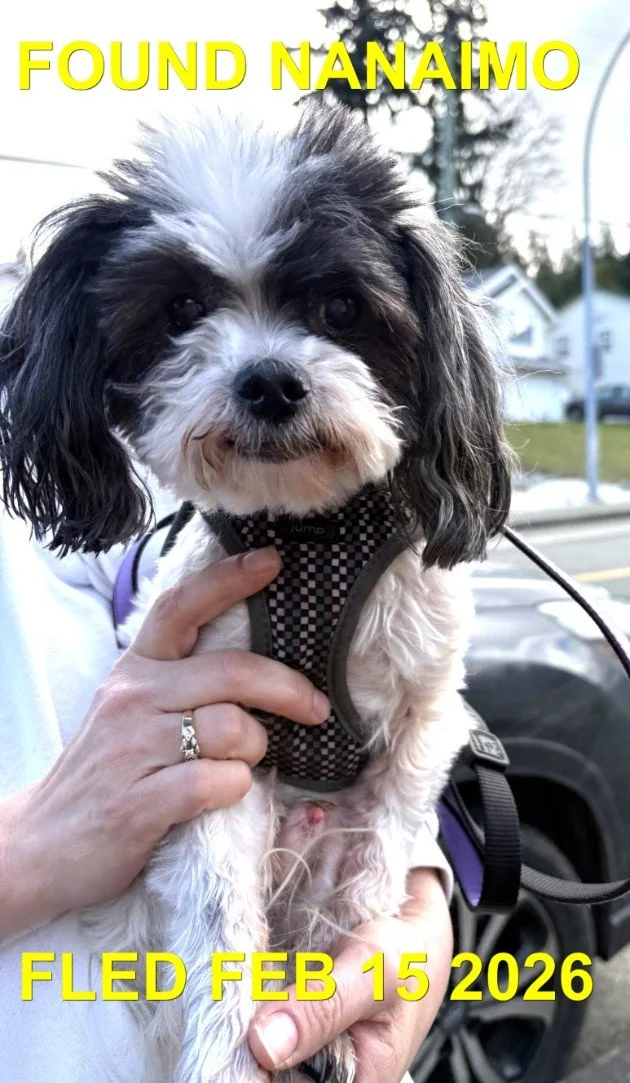 HAPPY ENDINGS - NANAIMO BC. / FEB. 15, 2026