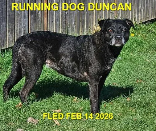 UNRESOLVED - DUNCAN BC. / FEB. 14, 2026