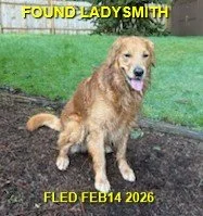 HAPPY ENDINGS - LADYSMITH BC. / BUDDY / FEB. 14, 2026