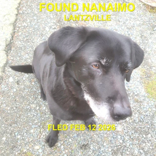 HAPPY ENDINGS - NANAIMO BC. / FEB. 12, 2026