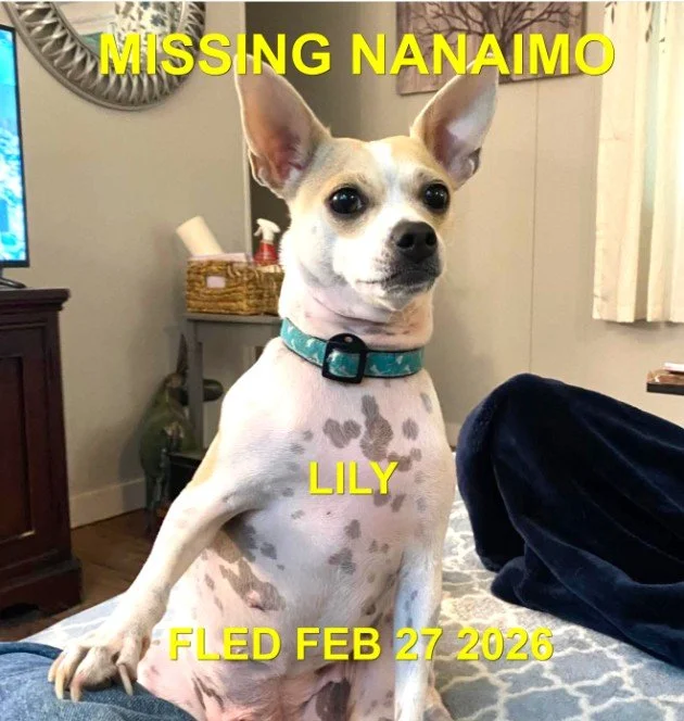 HAPPY ENDINGS - NANAIMO BC. / LILY /  FEB. 27, 2026