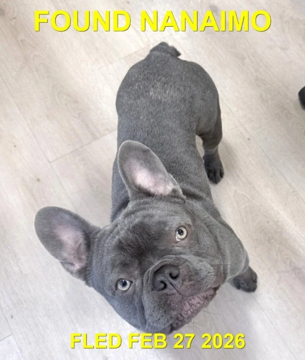 HAPPY ENDINGS - NANAIMO BC. / FEB. 27, 2026