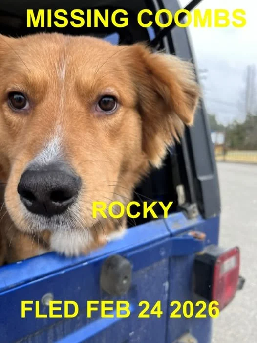 HAPPY ENDINGS - COOMBS BC. / ROCKY / FEB. 23, 2026