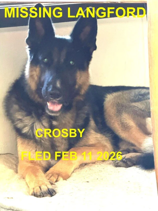 OVER THE RAINBOW BRIDGE - LANGFORD BC. / CROSBY / FEB 11, 2026 