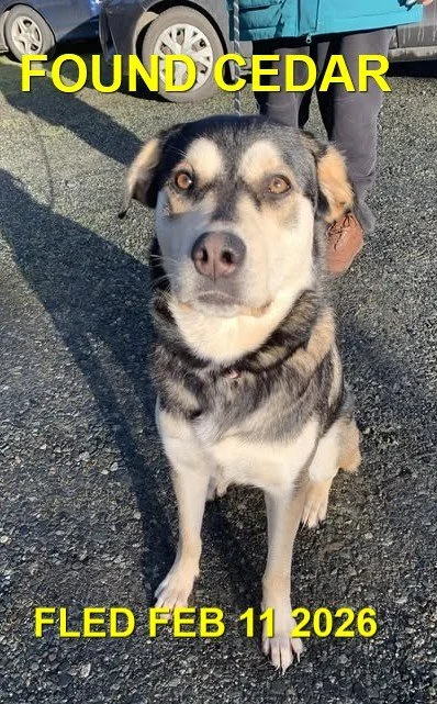 HAPPY ENDINGS - NANAIMO (CEDAR) BC. / FEB. 11, 2026