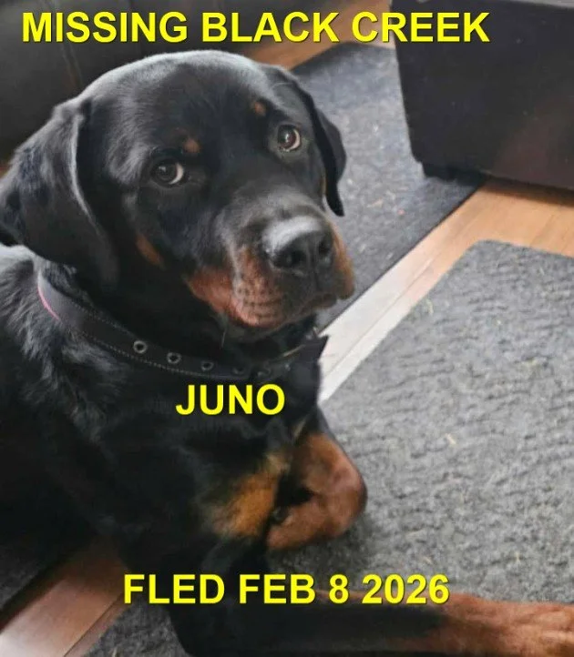 HAPPY ENDINGS - BLACK CREEK BC. / JUNO / FEB. 8, 2026