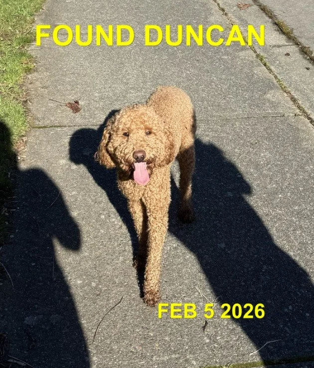 GONE TO SHELTER - GONE HOME - DUNCAN BC. / FEB. 5, 2026