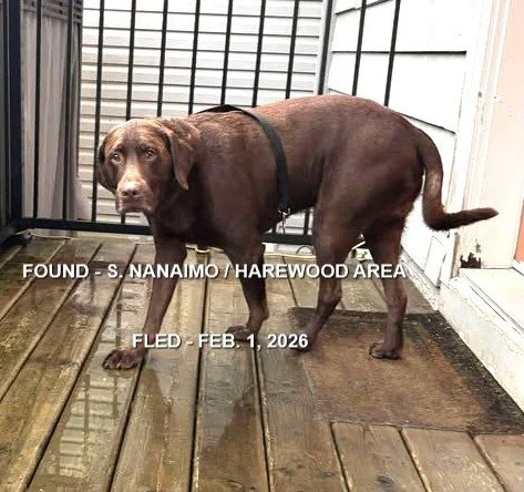 HAPPY ENDINGS - NANAIMO BC. / FEB. 1, 2026